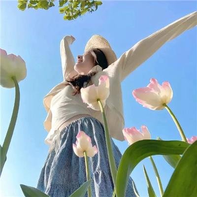 毒网风云